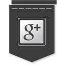 Google plus icon
